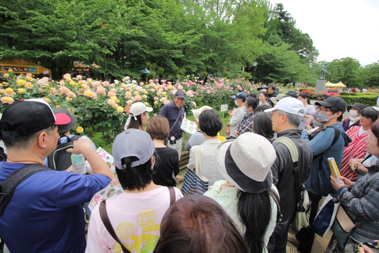 毎年人気のバラ園ガイドツアー。バラについて教えてもらいながら観賞できる。