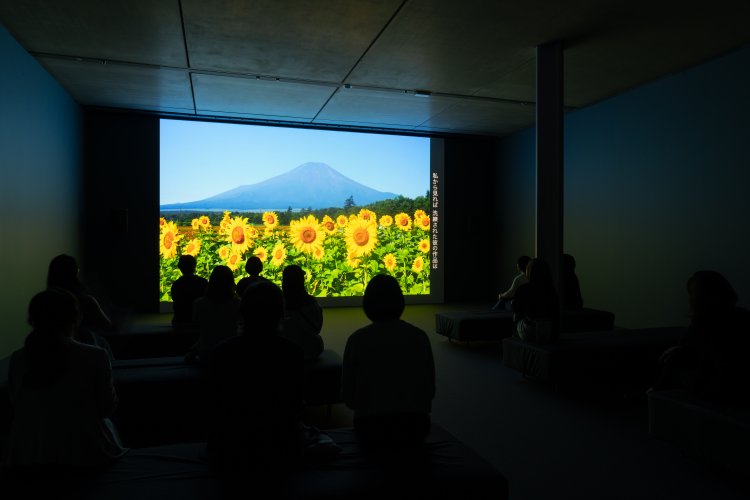 フィオナ・タン《アセント》2016年 『ベルナール・ビュフェ美術館』蔵。