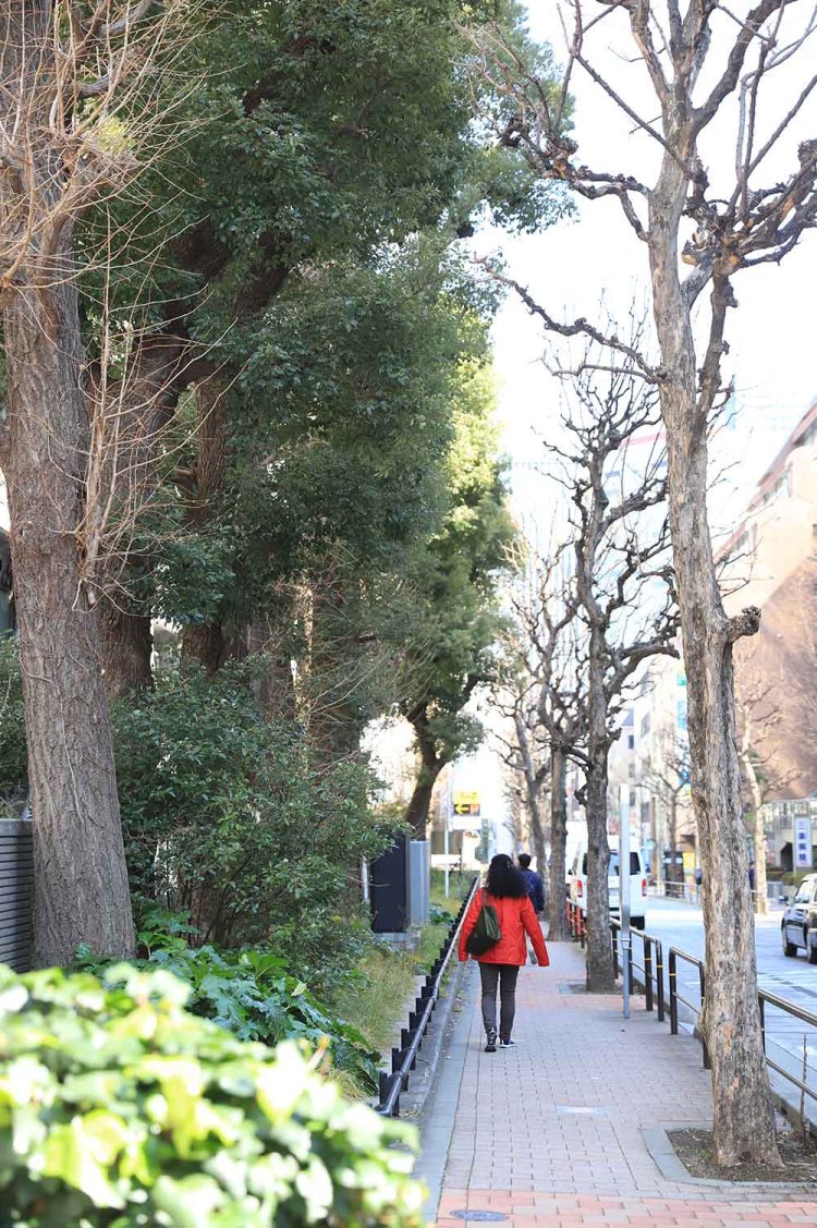 【散歩の達人】神田山は何処へ？_4