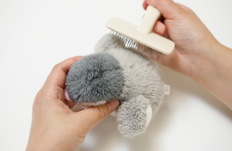 最後に優しくブラッシング。毛並みが新品同様のフワフワ、ツヤツヤになったところでめでたく完治！