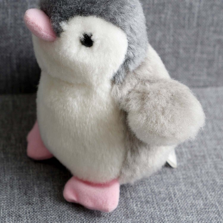 ふんわり整った毛並みに。