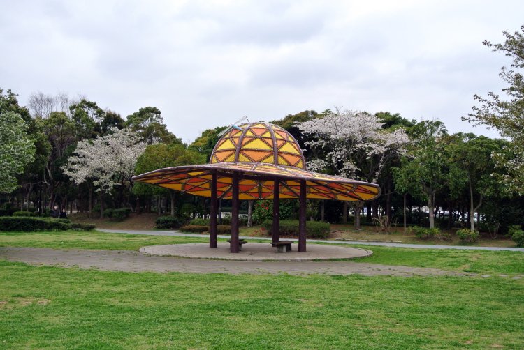 大きな帽子にトンボが止まる、珍しいタイプ（千葉県千葉市）。