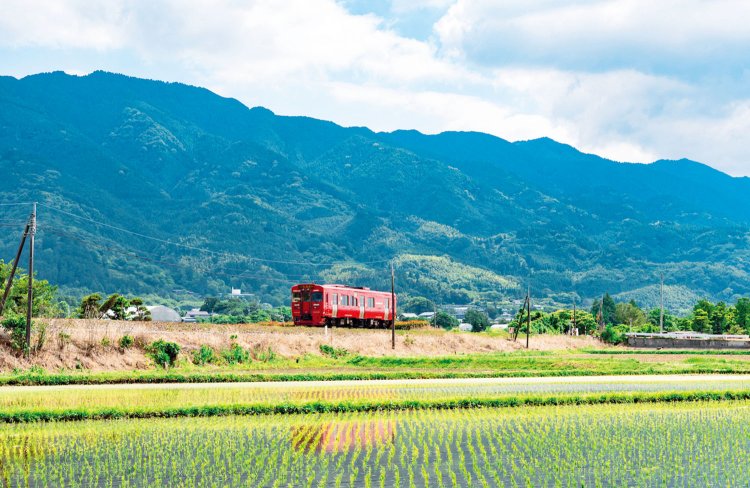 高良山（こうらさん）や耳納山（みのうさん）などの山々が東西約30㎞にわたり、切り立った屛風のごとく連なる耳納連山。フミヤさんの原風景の一つ。 （C）福岡県観光連盟。