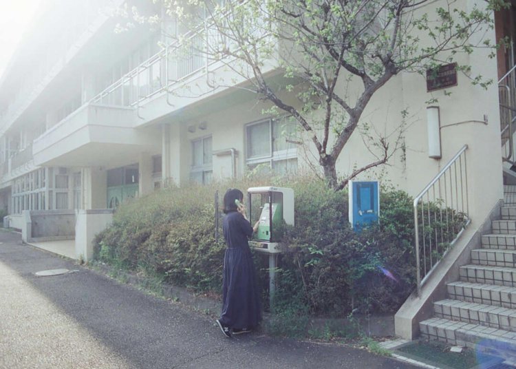 Canon AE-1 / CineStill 400D。