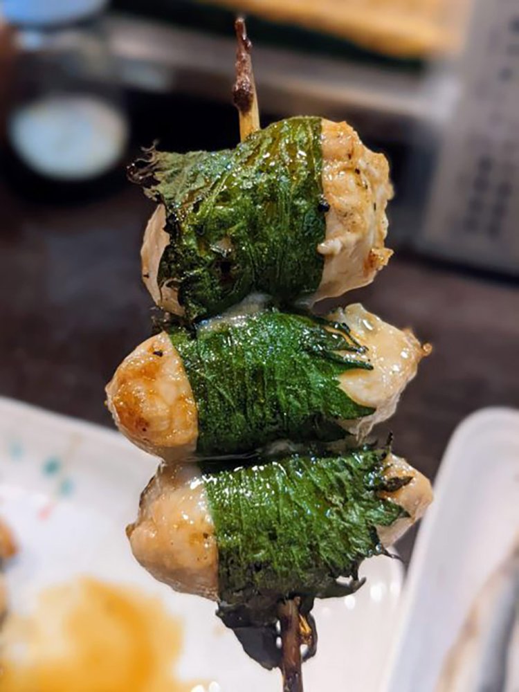 【酒場ナビ】宮ちゃん_23