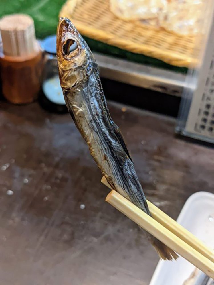 【酒場ナビ】宮ちゃん_21