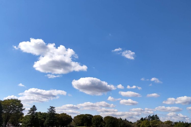 ロールパンのように丸くておいしそうな積雲。
