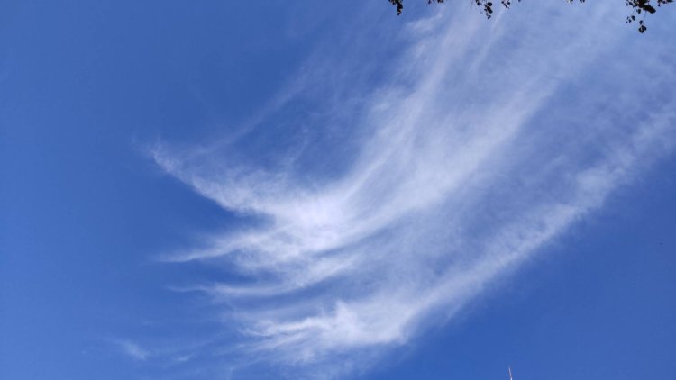 空高いところにできる巻雲。筋雲、しらす雲ともいう。