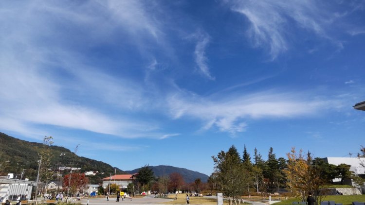 まるで鳥が空を飛んでいるような巻雲。羽雲とも呼ばれる。