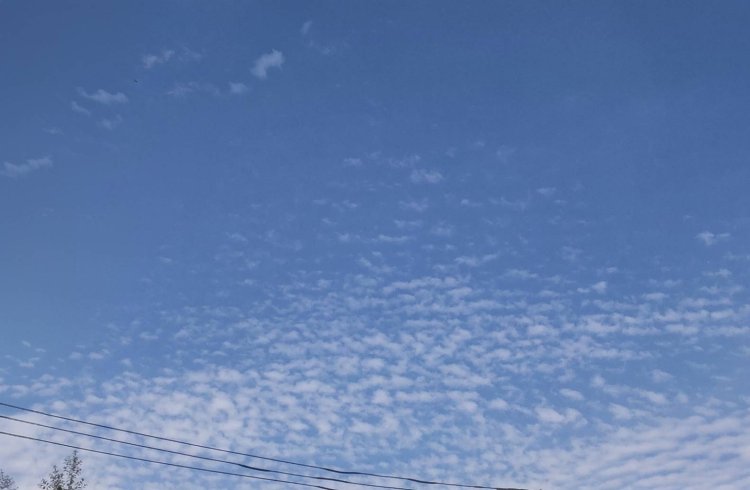 秋によく見られる巻積雲。うろこ雲、いわし雲、さば雲ともいわれる。