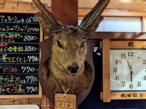 画像16川太郎