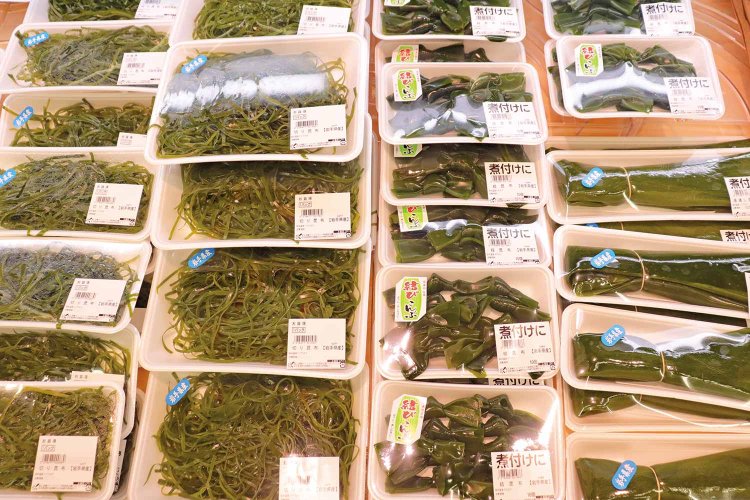 三陸の昆布は出汁用というより「食べる昆布」。昆布各種が並ぶ。