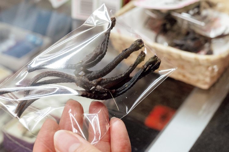 【旅の手帖】山島屋の「サンショウウオ」