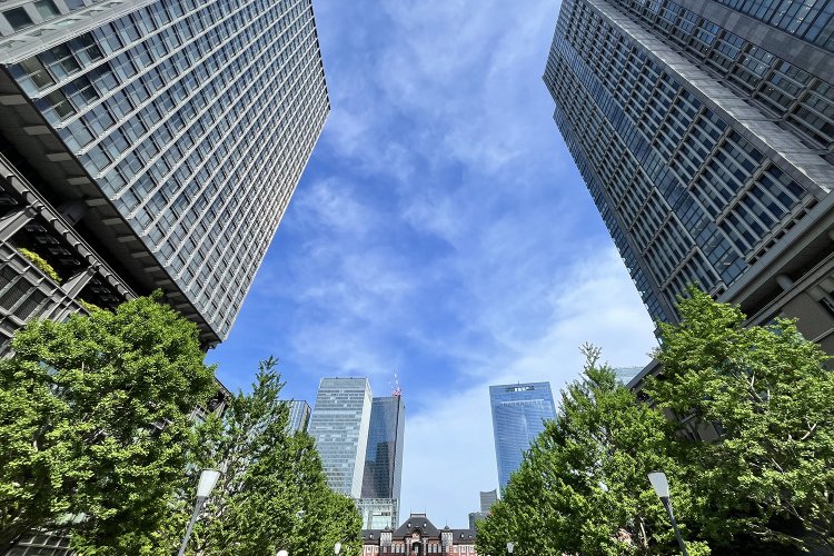 こちらは行幸通りで東京駅方面を見上げたもの。左が新丸ビル、右が丸ビル。