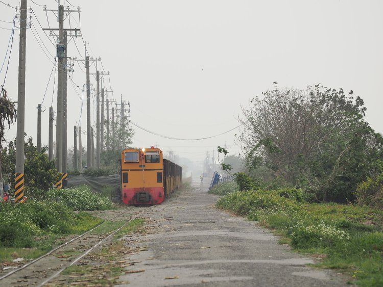 土に埋もれかけた線路に製糖鉄道「五分車」がやってきた。こういうヘロヘロ線路のロケーション、大好きです。