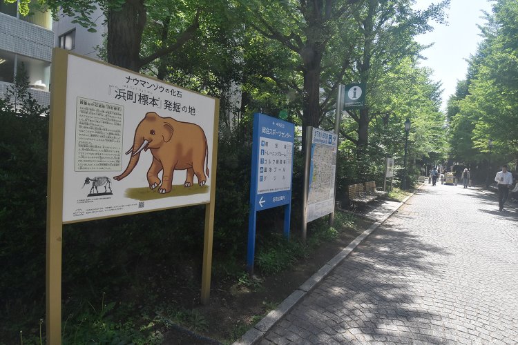 ナウマンゾウの化石が発掘された場所を示す解説板。