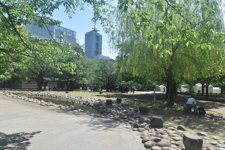 近隣の人たちの憩いの場となっている浜町公園。