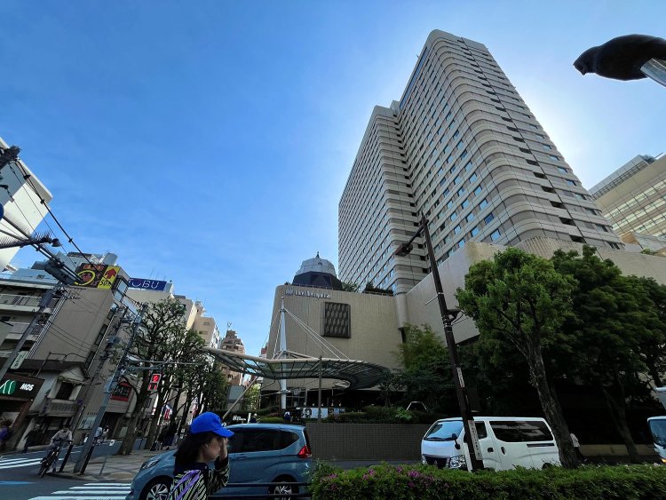 撮影地点から南側を見るとこんな景色。正面はホテルメトロポリタン。右上にひょっこりフクロウが写っている。