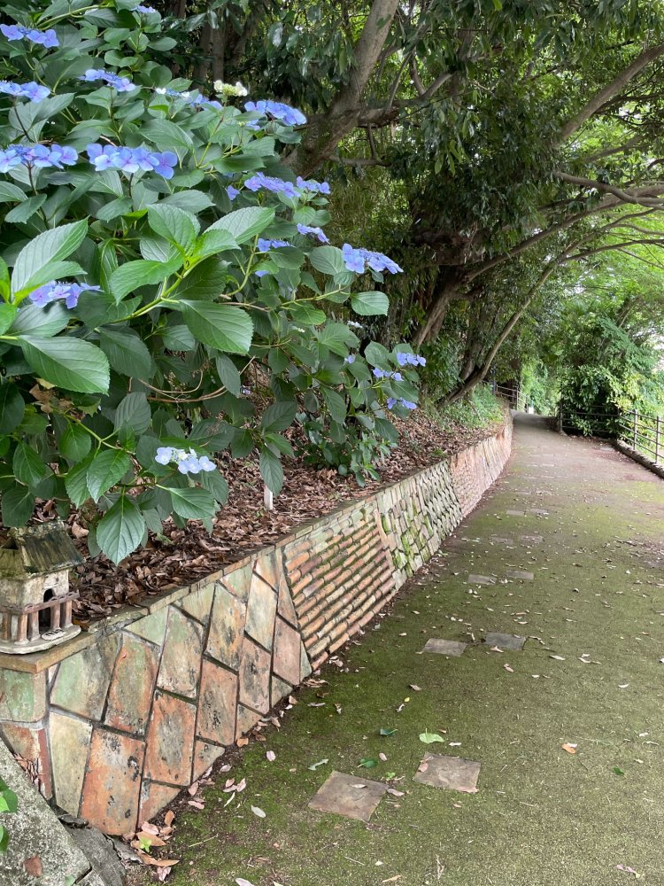 9f66e753aae1ec939c80b8a5f79bc0f94a17a2549d8333f9460b79cd4cc6e4b297169b75