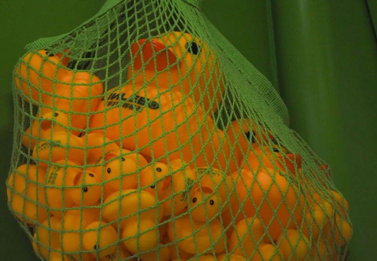 ネットにぎゅうぎゅうに詰められているのもシュールです。