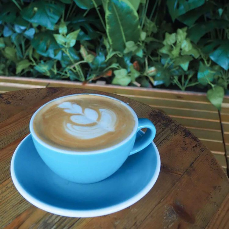 【camell】香港10選_28