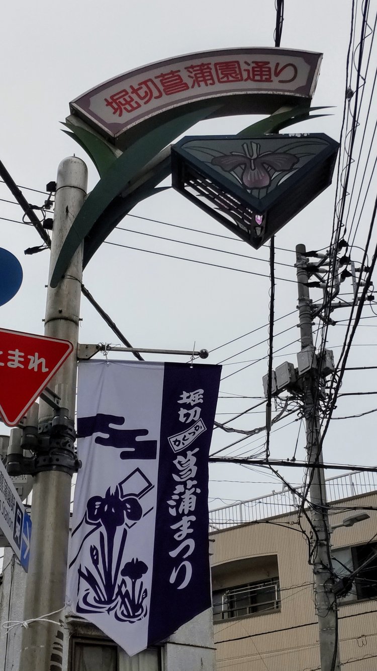 街のいたるところに花菖蒲あり！