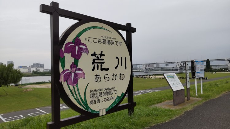 東京を代表する大河川、荒川。ここでも花菖蒲がシンボルに。