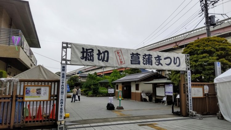 梅雨時に多くの人が花菖蒲を見ようと訪れ、街がにぎわう。