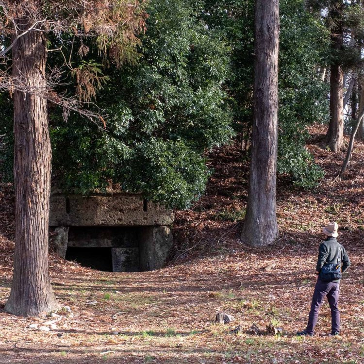 露出した石室を観察できる国指定史跡の車塚古墳。