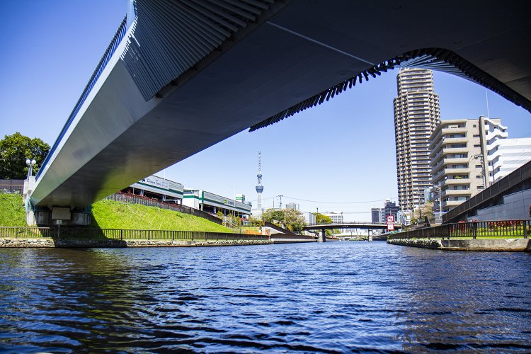 横十間川との交差点で北を望む。