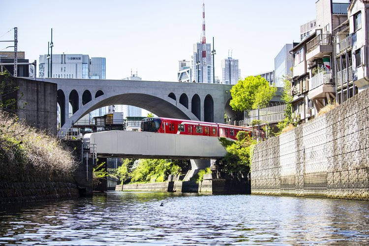 聖橋の高さに圧倒されるし、丸ノ内線は真下で見るとかなり近くて迫力がある。