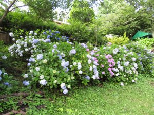 源氏山公園-(2)