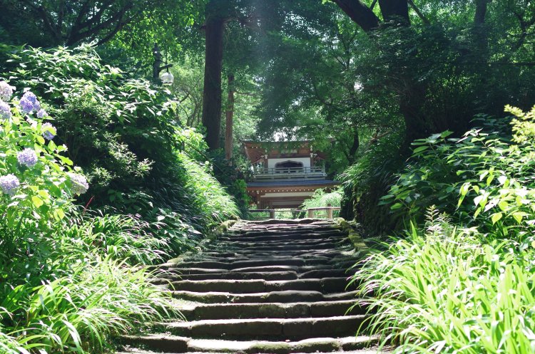 写真提供＝浄智寺。