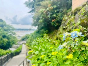 成就院(3)