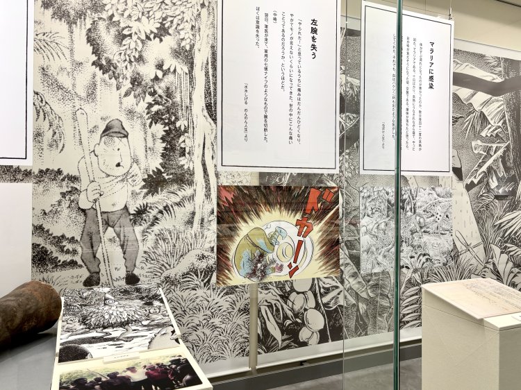 展示室の様子。