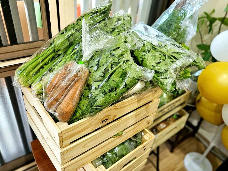 13カフェライク