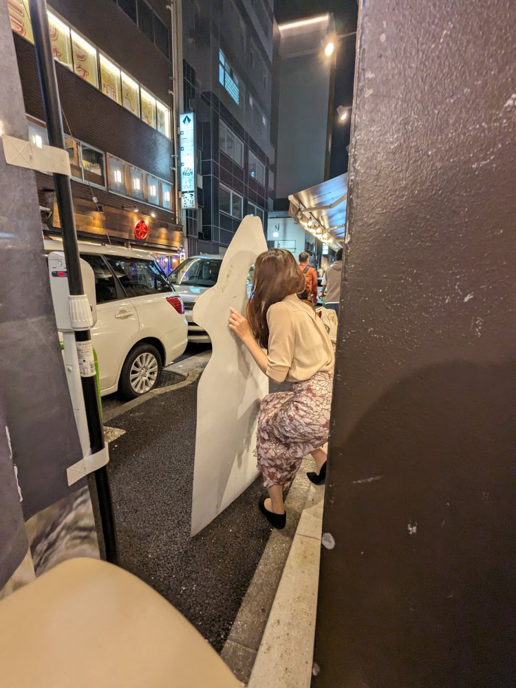 新橋の酒場にて、魚になれる看板。酔客がハマっていくのだろうか。