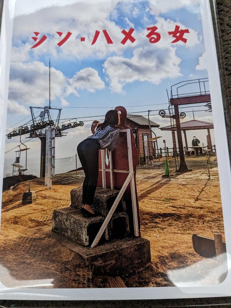 47都道府県での顔ハメ姿を収載したZINE『シン・ハメる女』。