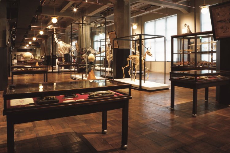 写真提供＝インターメディアテク2階常設展示風景 （C）インターメディアテク。