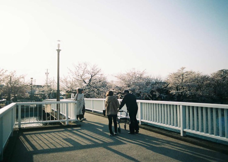 canon ae-01 program /28mm f2.8。