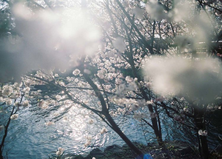 canon ae-01 program /28mm f2.8。