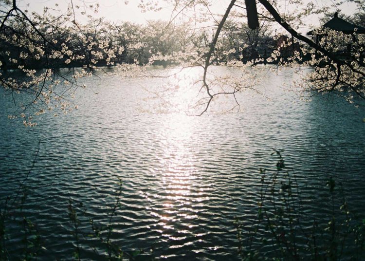 【camell】スナップ写真の３つのコツ_5