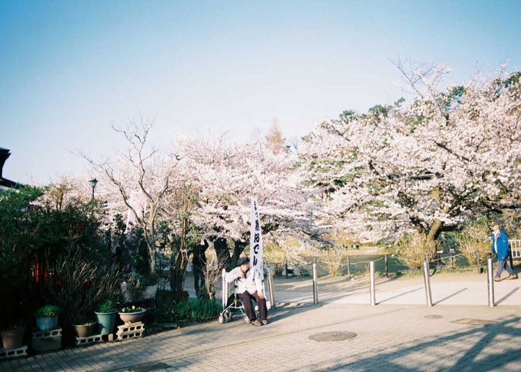 【camell】スナップ写真の３つのコツ_8