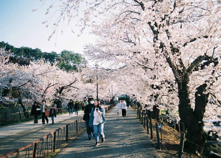 どこか懐かしいお祭りの雰囲気。
