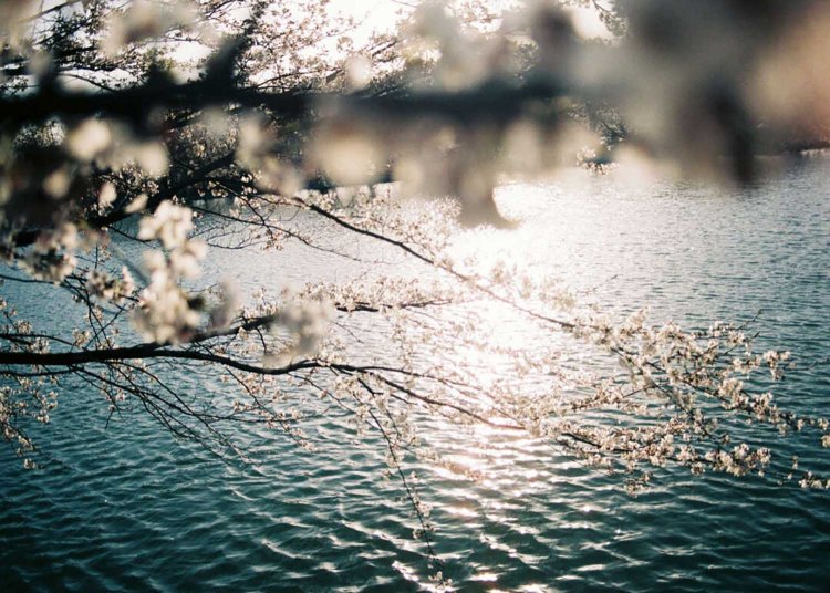 自分らしく撮れるようになった、スナップ写真の3つのコツ