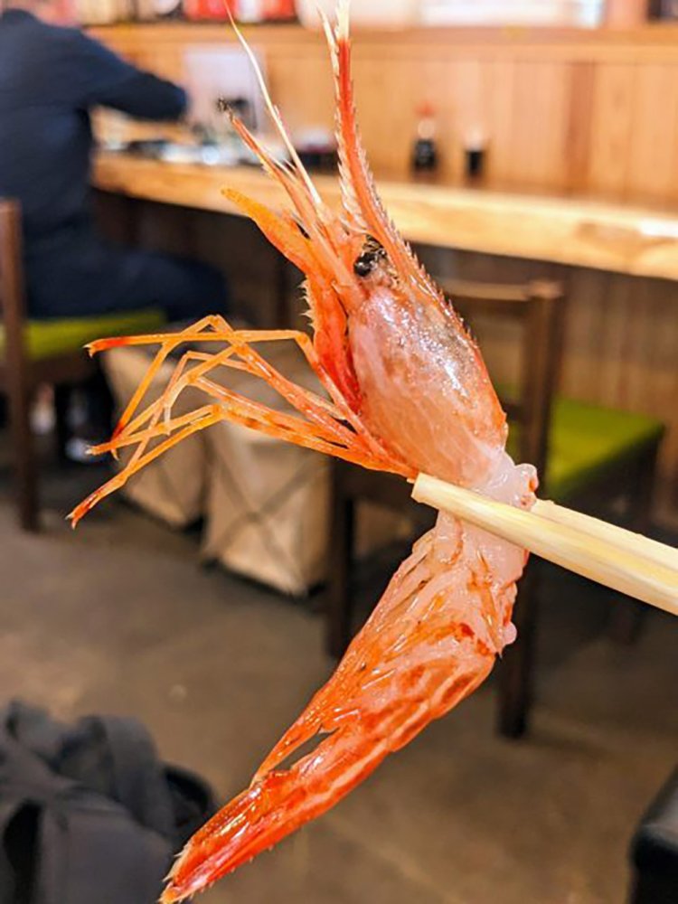 【酒場ナビ】かんのん（観音食堂）_19