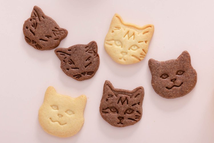 ネコクッキー6枚入り500円。