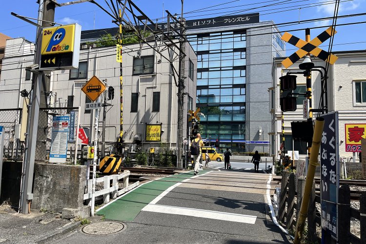 南から見たところ。