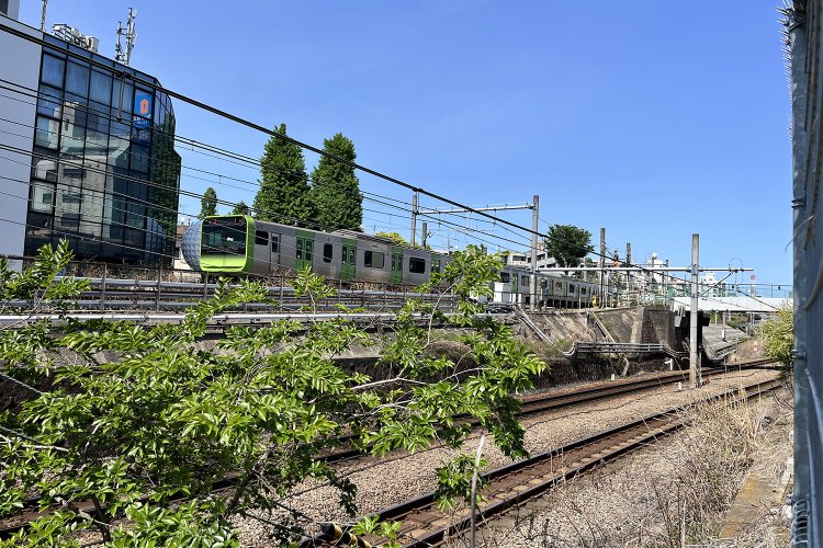 踏切地点を西側から見たところ。手前が湘南新宿ラインの線路。