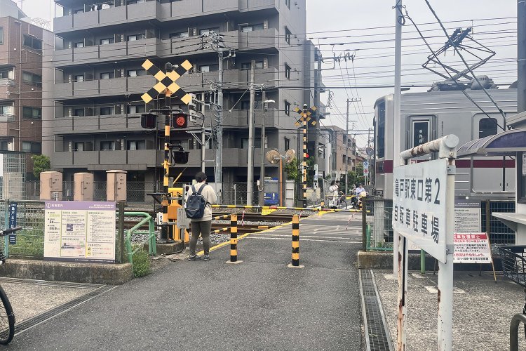 南側から見たところ。